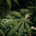 Is hhc illegal in texas?